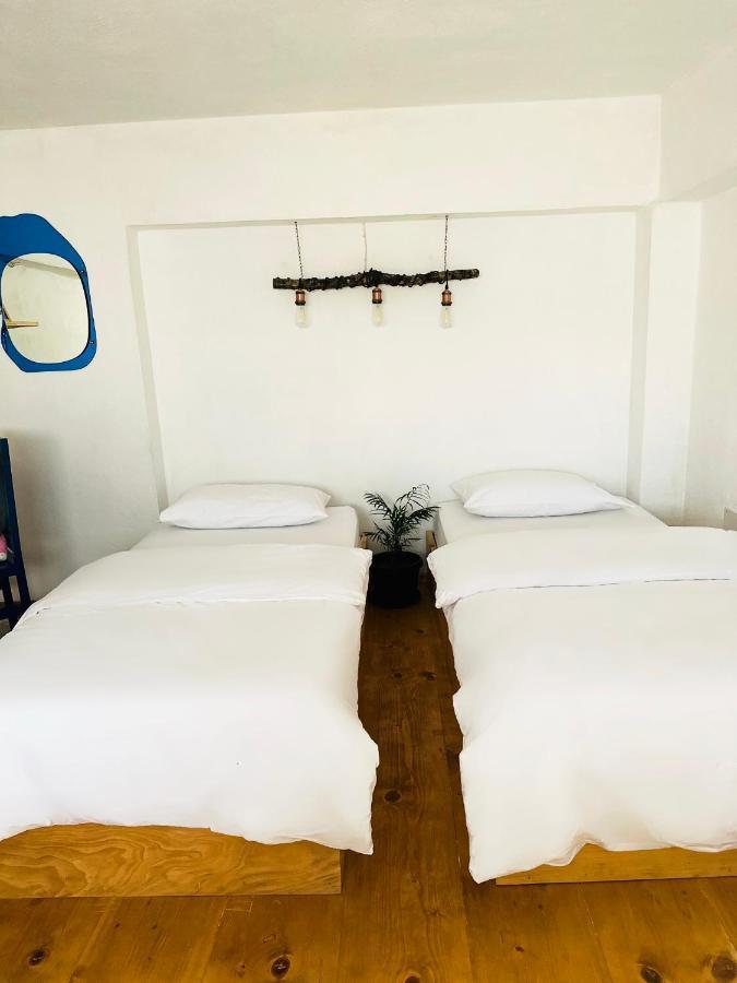 My Wooden Apartments تيرانا المظهر الخارجي الصورة